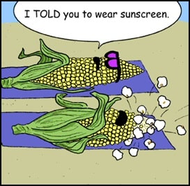 Funny food jokes