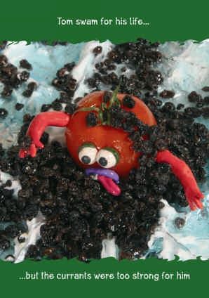 Tomato swimming current