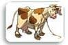 BSE - Mad cow funny story