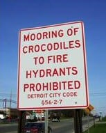 giant crocodile picture