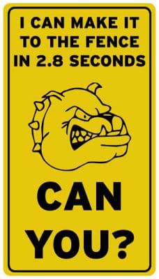 Funny dog pictures