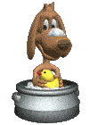Funny Duck Pictures