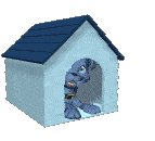 Polish man in dog house - Father's day