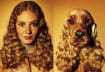 Dogs Look Like Their Owners