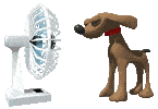 Dog Fan