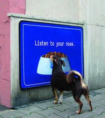 Listen to your nose