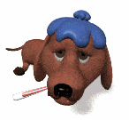 Sick as a dog
