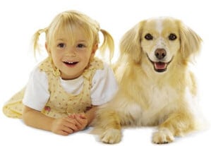 Do Dogs Look Like Their Owners