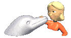 Swim with the dolphins