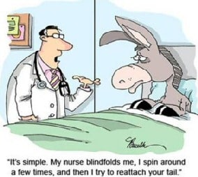 Funny Donkey Blindfold Pictures