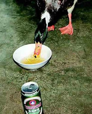 The Drunk Duck