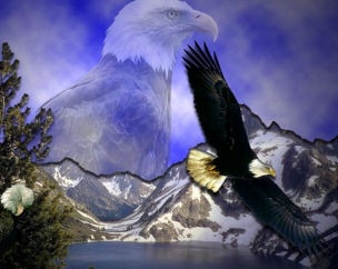 Eagle rebirth story