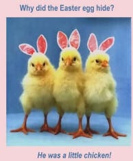 Easter Egg Hide