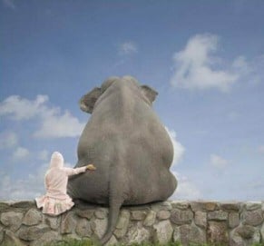Elephant Girl