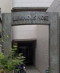 Luminous Nose