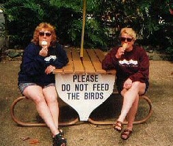 Funny picture: Do not feed the seagulls