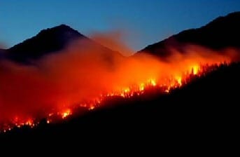 USA Forest Fire