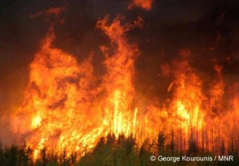 Ontario Forest Fire