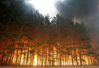 Russian Forest Fire