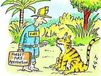 Starting a Forest Fire - Funny