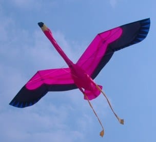 Cute flamingo kite