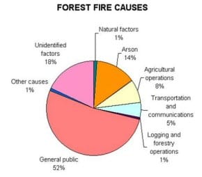 Forest Fire Causes