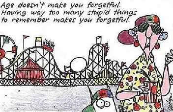 Funny Wise Words