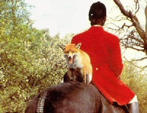 Joke Fox Hunting
