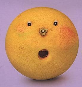 Fruit art