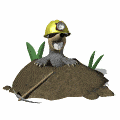funny mole burrowing