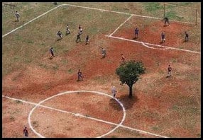 Funny World Cup 2006 pitch picture