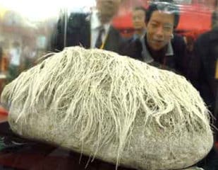 Hairy Stone