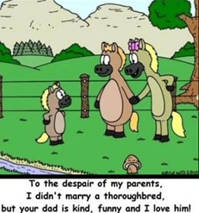 Animal Love Stories
