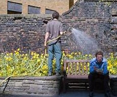 Clever Hose