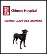 funny cartoon of dog