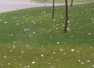 Snow Balls - Ice balls