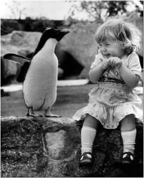 Picture of Innocence
