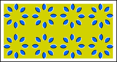 Fantastic Illusion - Will and Guy's humour