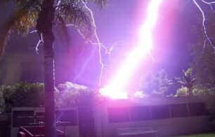 Lightning hits tree