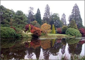 Mellow lakeside scene