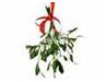 Christmas Mistletoe
