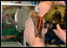 Heroic failure - mohican haircut banned from school