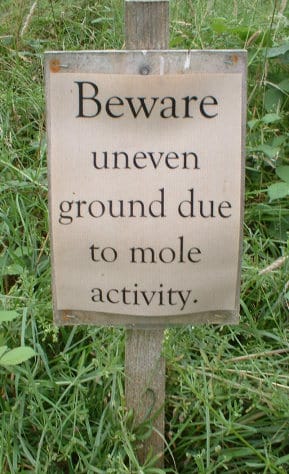 Funny mole picture - Beware unven ground