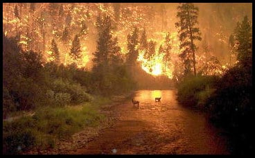 Montana fire - Spectacular picture