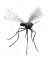 Waiter: There is a fly in my champagne