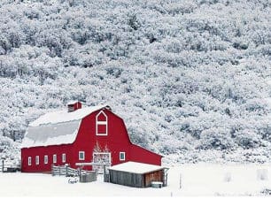 Winter Bliss - Snowfall with house