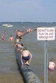 Penguins - no diving notice