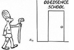 Snake School