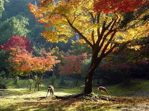 October Pictures