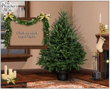 Guy and Will's Christmas humour